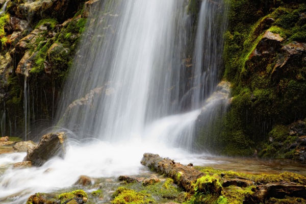 Tourist spot near Kovai - How to go to Vaidegi falls and why it is special 