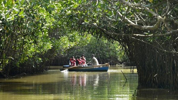 How to go Pichavaram - Best tourist spot in Tamilnadu 