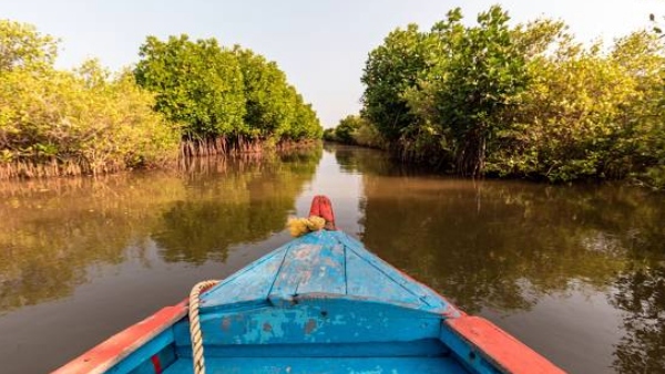 How to go Pichavaram - Best tourist spot in Tamilnadu 