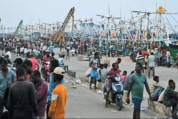 Mutton chicken rate has increased suddenly in tamilnadu and whats the reason actually 