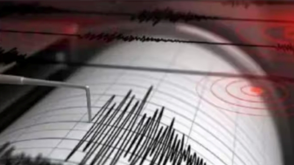 7.2 on the Richter scale, Tonga shaken by a powerful earthquake 