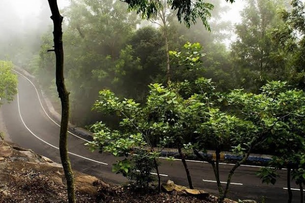 Beautiful routes in Tamilnadu - Lets know about Yercaud loop road 