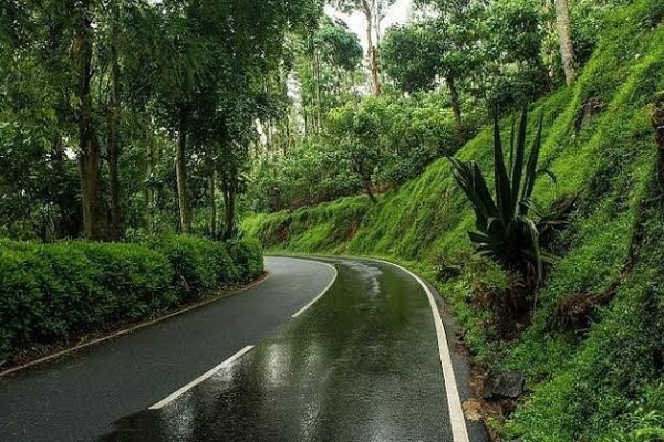 Beautiful routes in Tamilnadu - Lets know about Yercaud loop road 