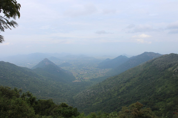 Beautiful routes in Tamilnadu - Lets know about Yercaud loop road 