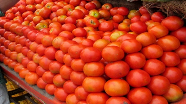 Tomato prices in Chennai touched Rs.100 due to lack of supply 