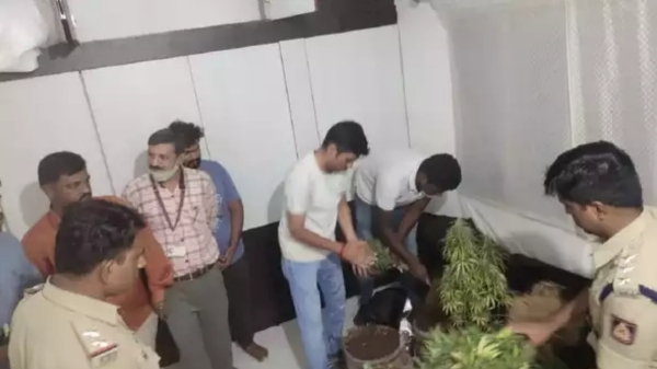 5 medical students from Tamil Nadu were arrested for growing cannabis plants at home in Karnataka 