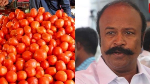 Tomato Price Hike: When will the price of tomatoes come down? Minister Periyakaruppan press meet 