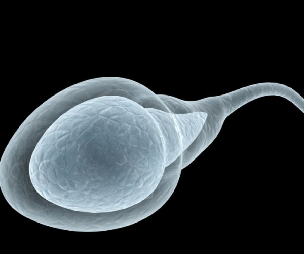 Health issues: Husbands in israel jail and sperm stealing from palestine prison accuse wife