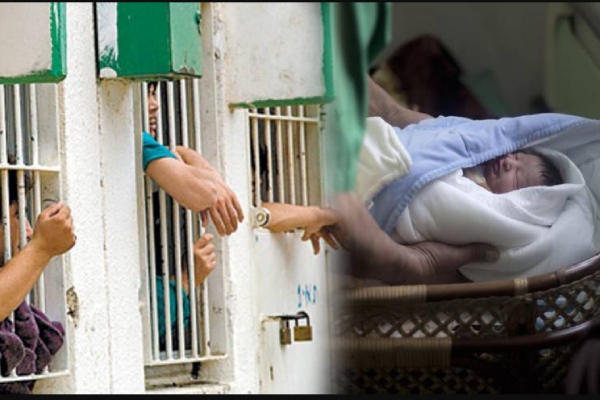 Health issues: Husbands in israel jail and sperm stealing from palestine prison accuse wife