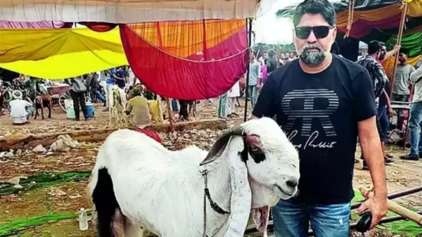 Do you know why the goat was sold for Rs 6 lakhs for Bakrid festival? Do you know why the goat was sold for Rs 6 lakhs for Bakrid festival?