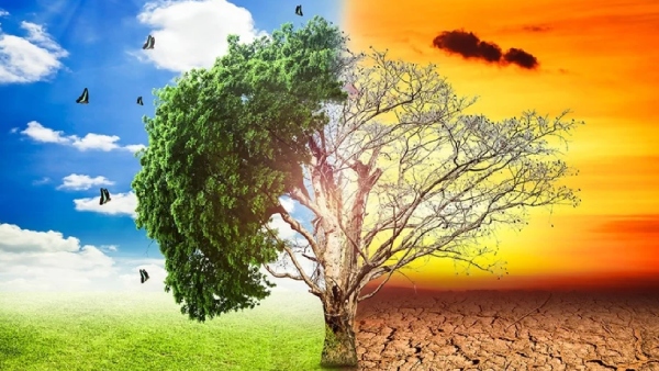  What scientists said about global warming becoming the biggest issue