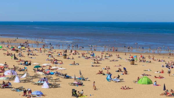 What is the problem that Netherlands is facing due to raise of public sex What is the problem that Netherlands is facing due to raise of public sex