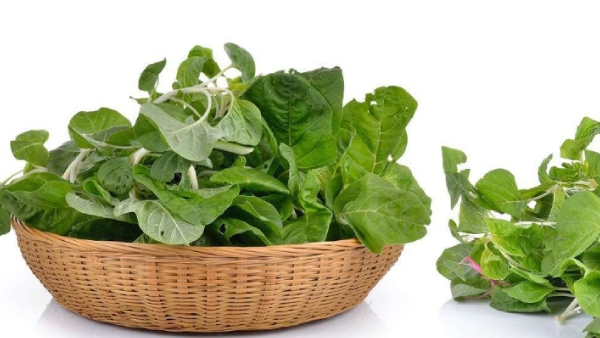 health news Why we should not eat green leafy at night time? 