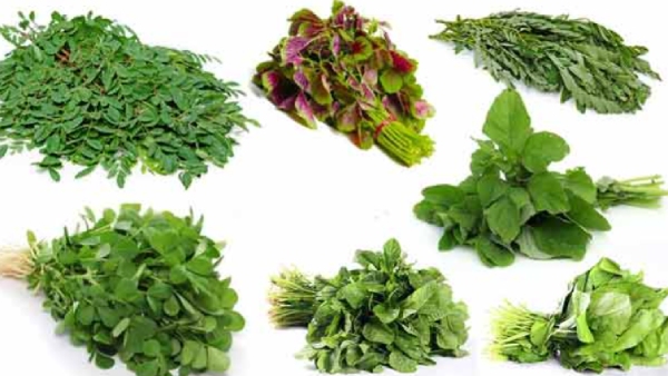 health news Why we should not eat green leafy at night time? 