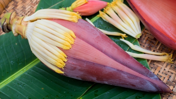 What are the health benefits of banana flower? 