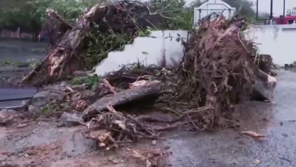  Gujarat BJP MLA Jadeja starts prayer for Biparjoy cyclone untill its going to off 