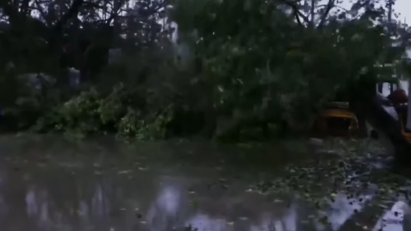  Gujarat BJP MLA Jadeja starts prayer for Biparjoy cyclone untill its going to off 