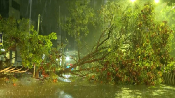 Heavy rain with Thunderstorms in Chennai trees fell flights diverted to Bangalore 