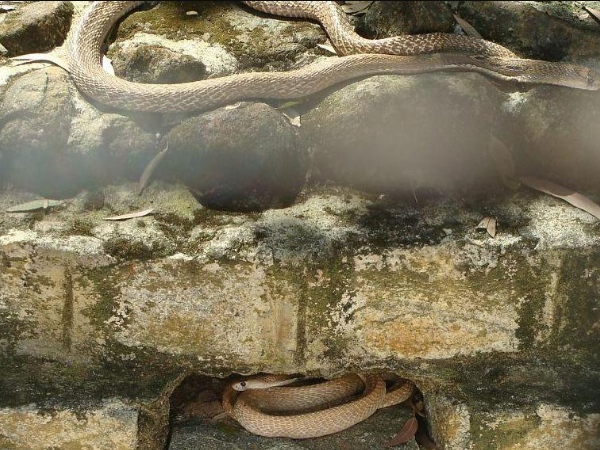 Best tourist spots near Courtallam other than 5 Falls 