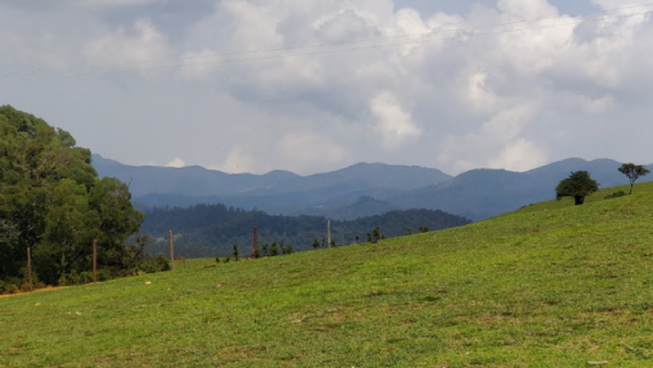  Wenlock Downs 9th Mile - Important shooting spot in Ooty where Vijay, Ajith, Suriya movies taken 