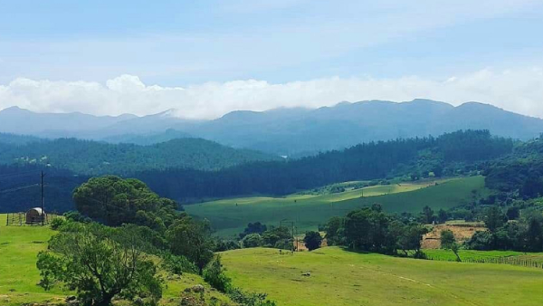  Wenlock Downs 9th Mile - Important shooting spot in Ooty where Vijay, Ajith, Suriya movies taken 