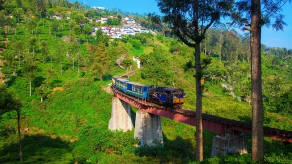  How to book ticket for Nilgris toy train from Mettupalayam to Ooty 