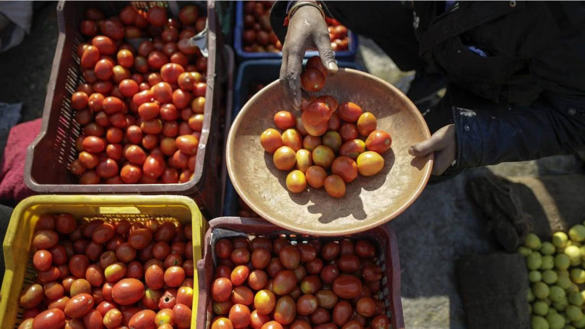 Tomato price sudden increase : doubled from last week rate 