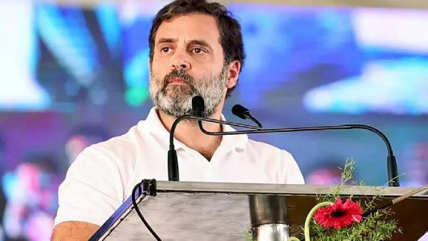 Just because Rahul Gandhi doesnt have a job,shouldnt say that Indian youth are like that: Annamalai 