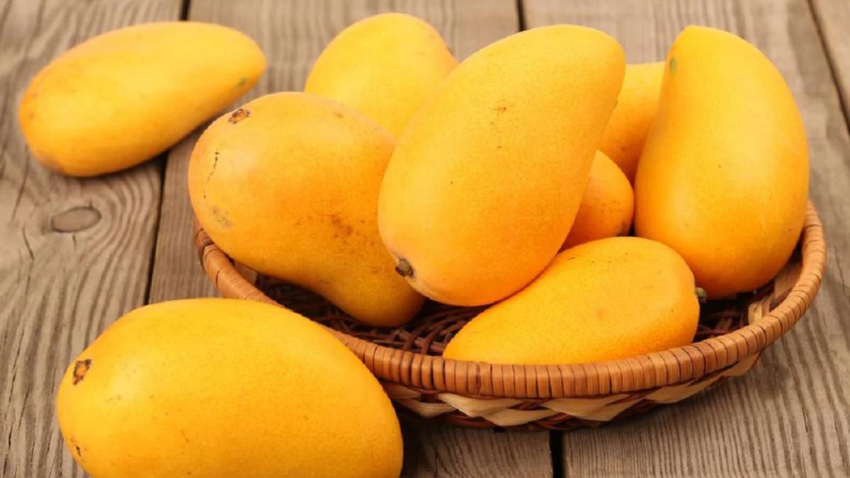 Various Healthy Benefits of Mango