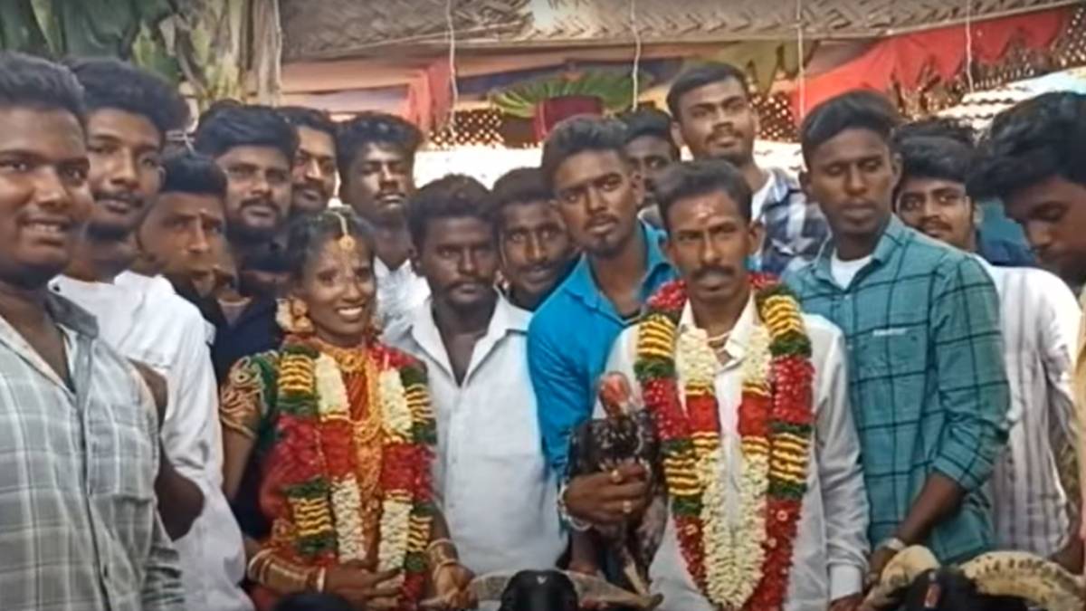 good motivation and friends gave the bridegroom a goat, fighting cock wedding ceremony
