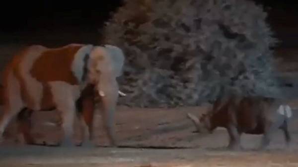 Some users tried to guess the locations, claiming the video was shot in Namibia 