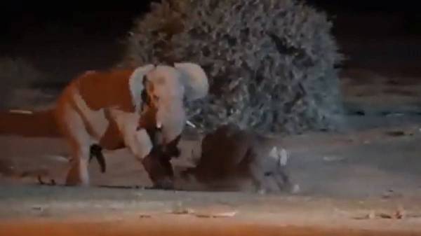 Some users tried to guess the locations, claiming the video was shot in Namibia 