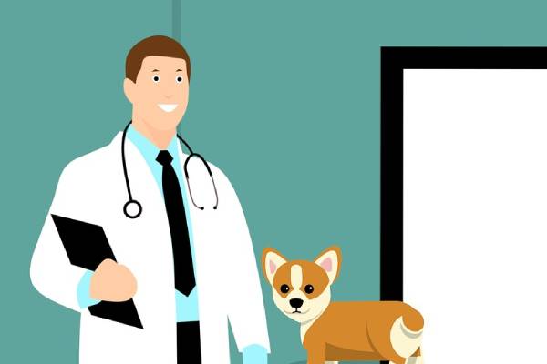 Plus 2 Students are you interested in becoming a veterinary doctor? Apply from June 12 