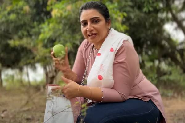 Actress Sujithas mango farm house in Chennais outskirt 