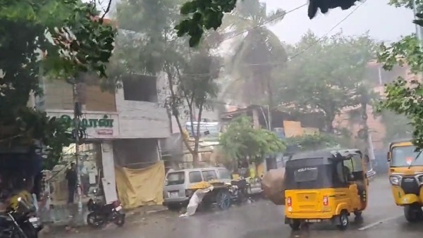 Rain in many areas at Chennai drops temparature and made climate chill 