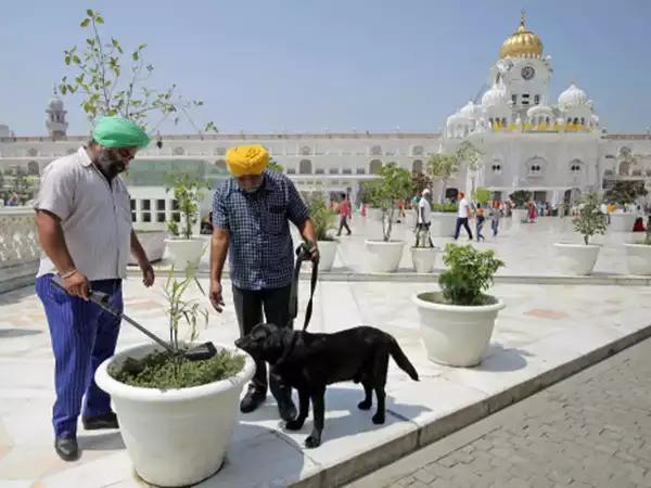 Security beefed up at Golden Temple on Operation Blue Star anniversary 