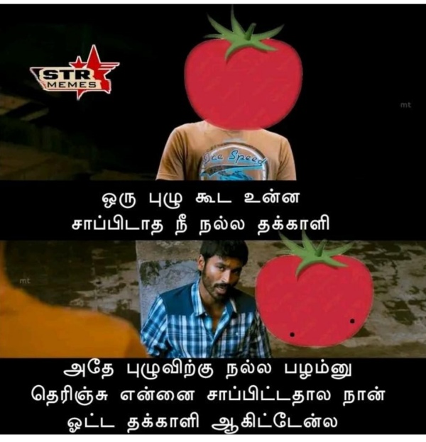 Funny memes collection on high tomato price 29072023