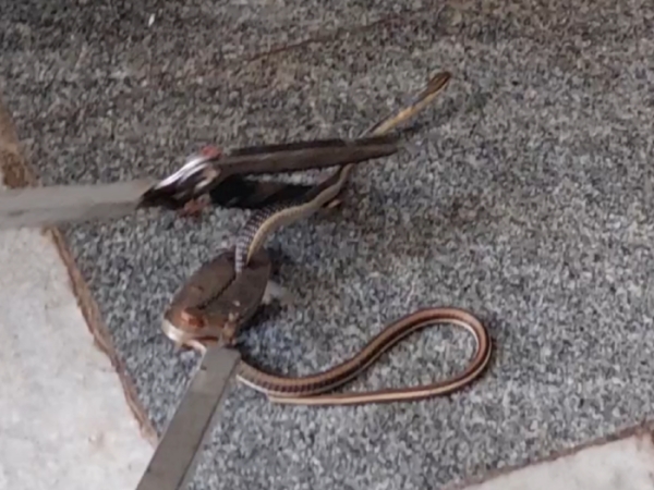 Tiruppur Dharapuram incident what happened in Venkatesawara mess Hotel at Dharapuram