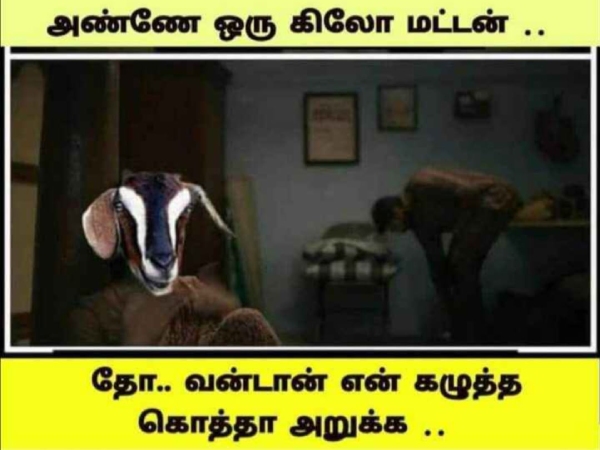 Funny memes collection on sunday routine 16-07-2023