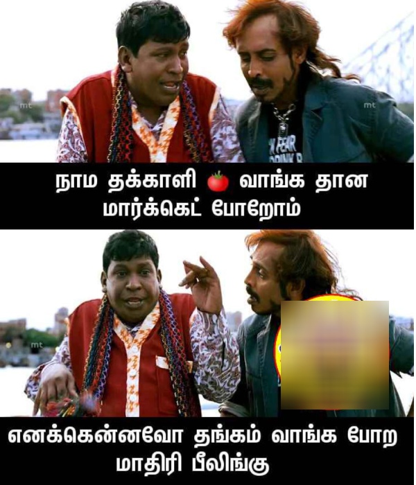 These are some jolly memes collection on tomato price hike 11-07-23