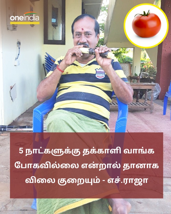 People can reduce the price of tomatoes - H. Raja idea 