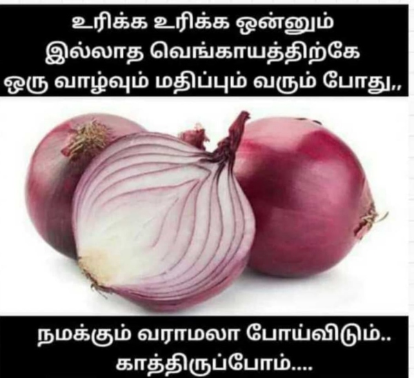 Funny memes collection on onion and tomato price hike 