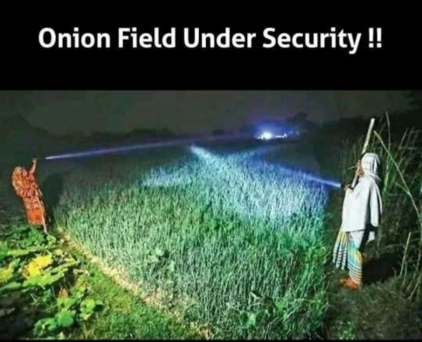  Funny memes collection on onion and tomato price hike 