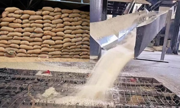 Rice export ban Bags of rice are stored in Tiruvannamalai Aarani 