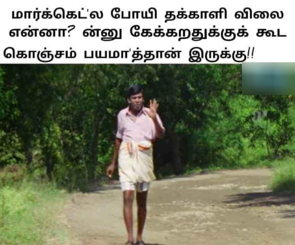 These are some jolly memes collection on tomato price hike 11-07-23