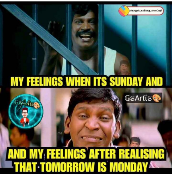 Funny memes collection on sunday routine 09072023