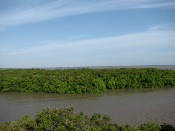 Let look at the Indias largest lagoon in Thanjavur and Thiruvarur - Tamilnadu tour 