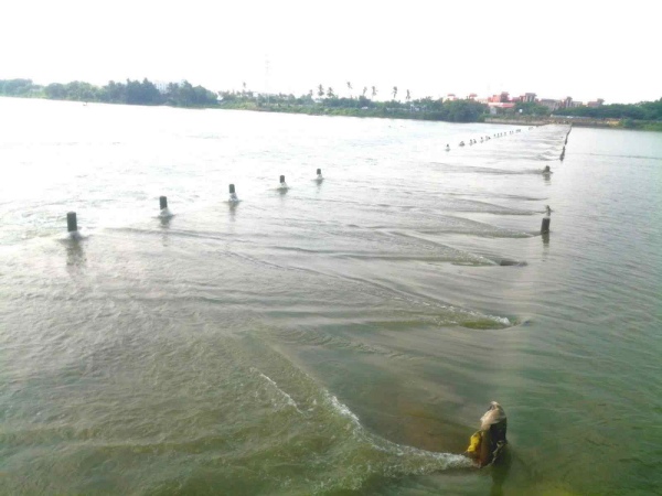 Thenpennai River water sharing: Center seeks one more month to set up tribunal Thenpennai River water sharing: Center seeks one more month to set up tribunal