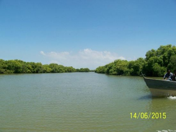 Let look at the Indias largest lagoon in Thanjavur and Thiruvarur - Tamilnadu tour 