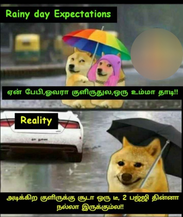 Funny memes collection on rain 10-07-2023
